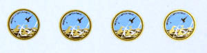 Försökscentralen FC badge x 4