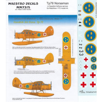 Tp78  Norseman in Swedish AF