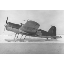 Skidor för SAAB B17